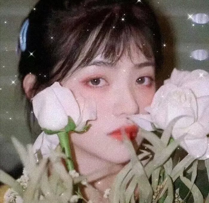 傻瓜们的行进